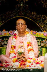 Daily Darshan