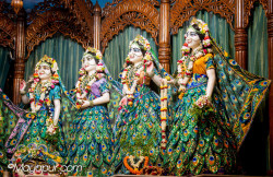 Daily Darshan