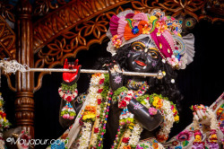 Daily Darshan