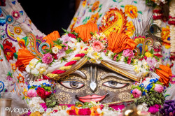 Daily Darshan