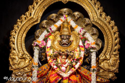 Daily Darshan
