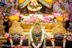 Daily Darshan
