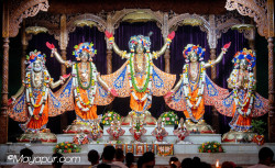 Daily Darshan