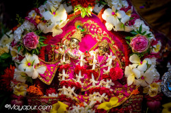 Daily Darshan