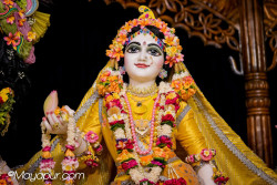 Daily Darshan