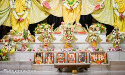 Daily Darshan