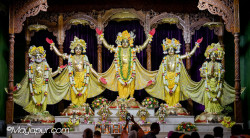 Daily Darshan