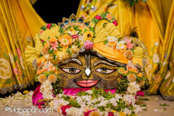 Daily Darshan