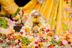 Daily Darshan