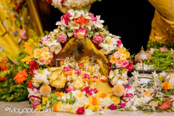 Daily Darshan