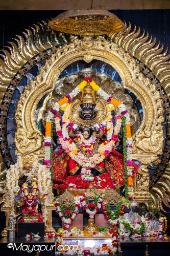 Daily Darshan