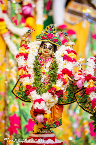 Daily Darshan