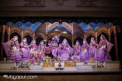 Daily Darshan