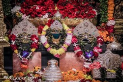 Daily Darshan