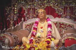 Daily Darshan