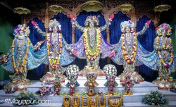 Daily Darshan
