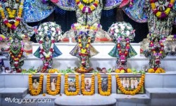 Daily Darshan