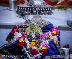 Daily Darshan