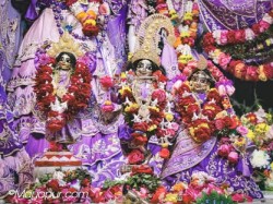 Daily Darshan