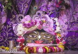 Daily Darshan