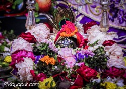 Daily Darshan