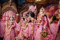 Daily Darshan