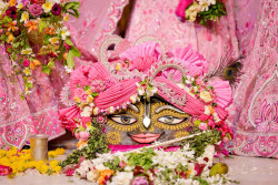 Daily Darshan