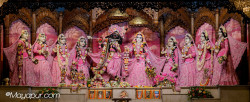Daily Darshan