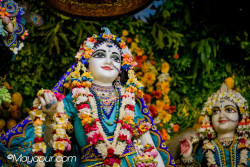 Daily Darshan