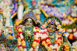 Daily Darshan