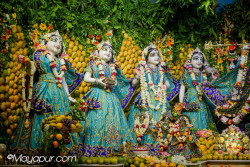 Daily Darshan