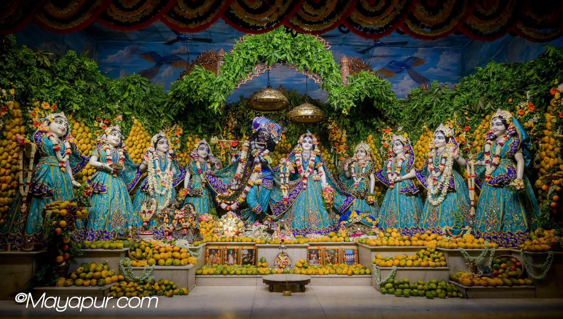 Daily Darshan