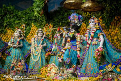 Daily Darshan