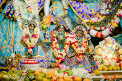 Daily Darshan
