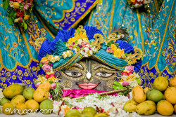 Daily Darshan