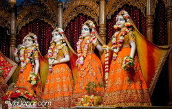 Daily Darshan