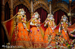 Daily Darshan