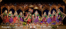 Daily Darshan