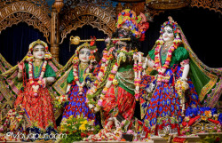 Daily Darshan