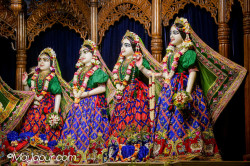 Daily Darshan