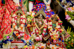 Daily Darshan