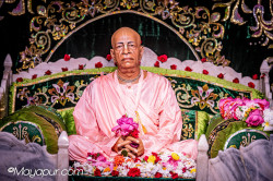 Daily Darshan