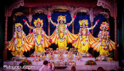 Daily Darshan