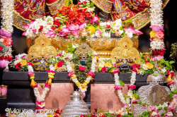 Daily Darshan