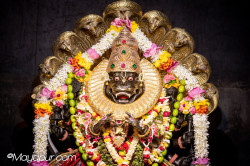 Daily Darshan