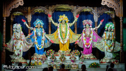 Daily Darshan