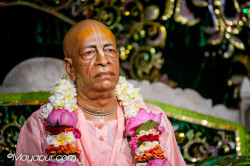 Daily Darshan