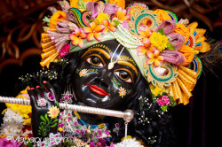 Daily Darshan