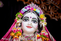 Daily Darshan