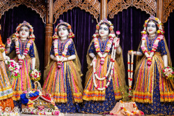 Daily Darshan